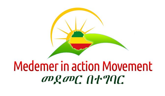 medemer logo